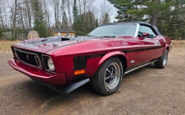 Unknown-Mustang-1973-maroon-Black-18