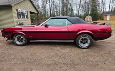 Unknown-Mustang-1973-maroon-Black-20
