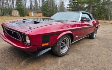Unknown-Mustang-1973-maroon-Black-21