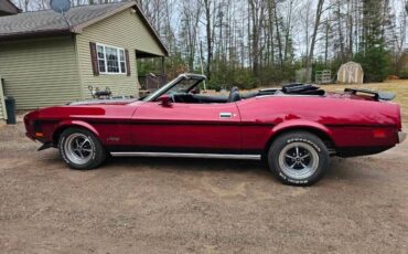 Unknown-Mustang-1973-maroon-Black-3