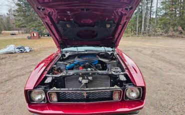 Unknown-Mustang-1973-maroon-Black-35