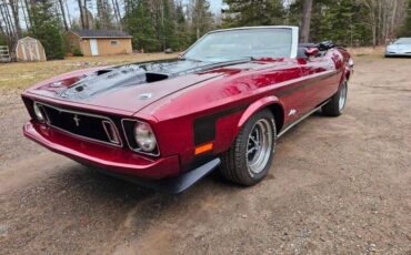 Unknown-Mustang-1973-maroon-Black-41