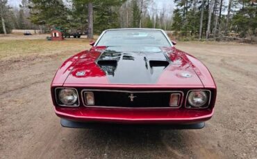 Unknown-Mustang-1973-maroon-Black-42