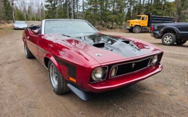 Unknown-Mustang-1973-maroon-Black-43
