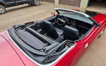 Unknown-Mustang-1973-maroon-Black-8