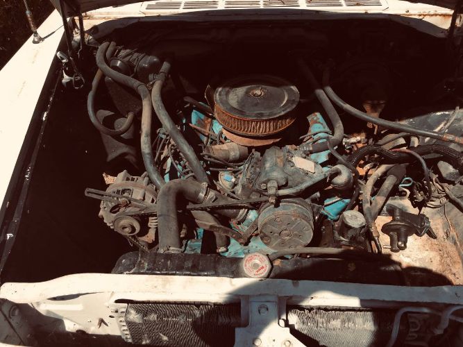 Unknown-Newport-1962-Blue-6