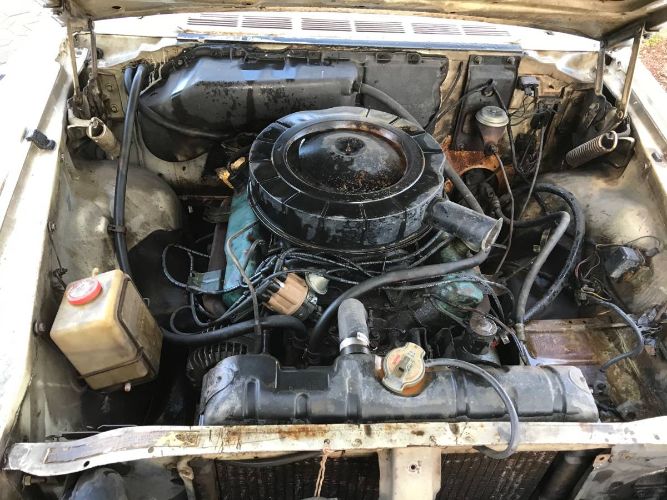 Unknown-Newport-1964-White-7
