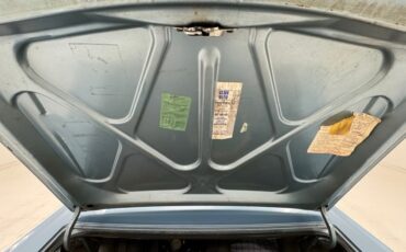 Unknown-Newport-1968-Sky-Blue-Metallic-Light-Blue-32