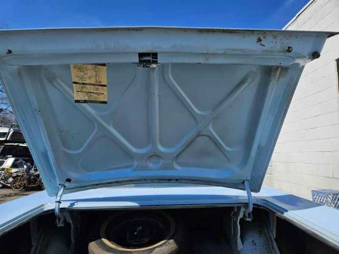 Unknown-Newport-1973-Blue-Blue-16