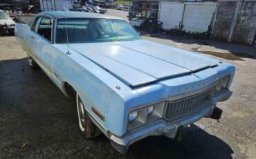 Unknown-Newport-1973-Blue-Blue-17