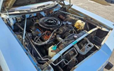 Unknown-Newport-1973-Blue-Blue-18