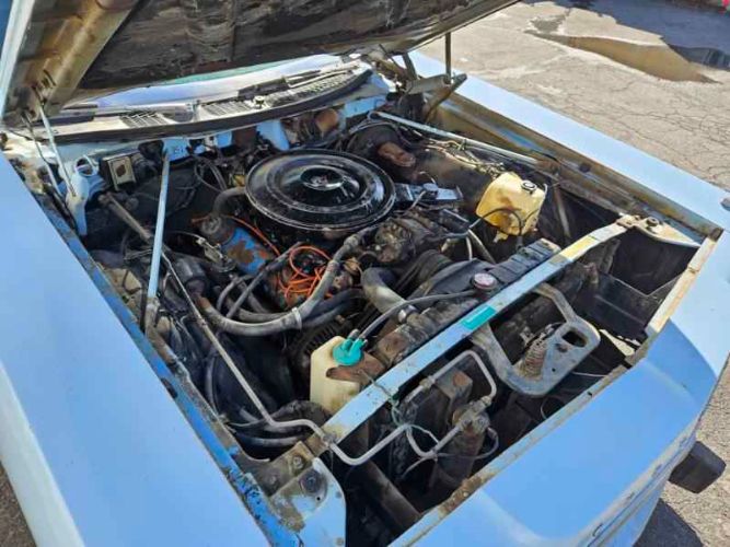 Unknown-Newport-1973-Blue-Blue-18