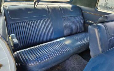 Unknown-Newport-1973-Blue-Blue-8
