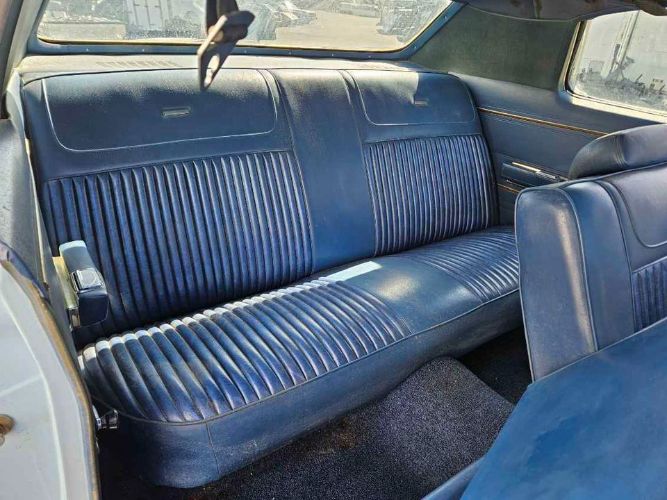 Unknown-Newport-1973-Blue-Blue-8