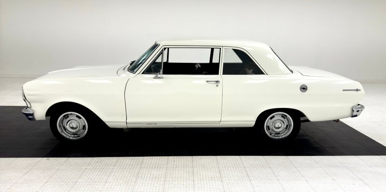 Unknown-Nova-1965-Ermine-White-Black-1