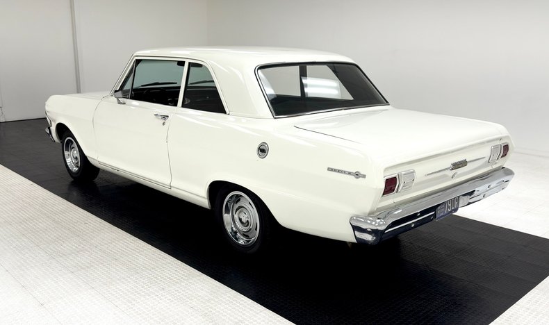 Unknown-Nova-1965-Ermine-White-Black-2
