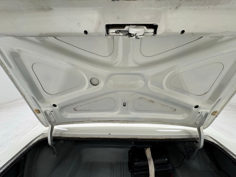 Unknown-Nova-1965-Ermine-White-Black-38