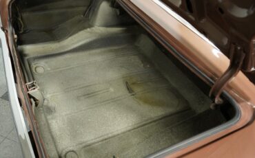 Unknown-Nova-1966-Brown-Metallic-Black-42