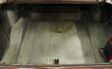 Unknown-Nova-1966-Brown-Metallic-Black-43