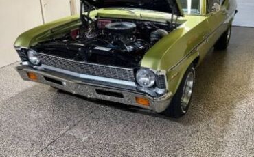 Unknown-Nova-1971-Cottonwood-Green-Tan-14