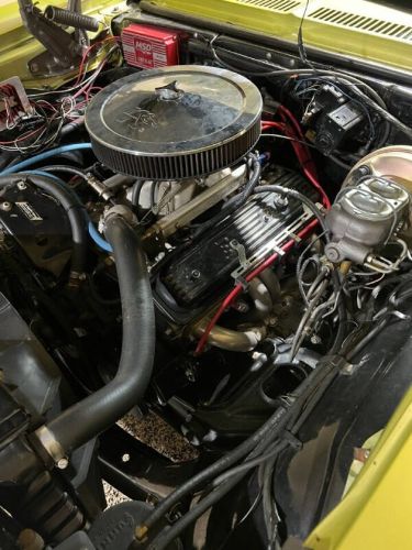 Unknown-Nova-1971-Cottonwood-Green-Tan-15