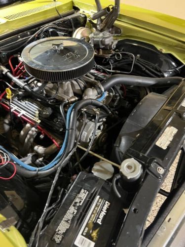 Unknown-Nova-1971-Cottonwood-Green-Tan-16