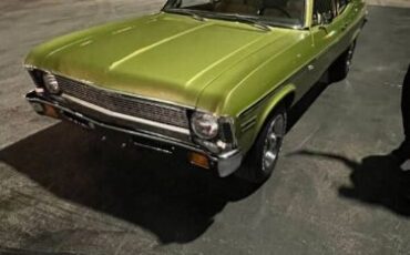 Unknown-Nova-1971-Cottonwood-Green-Tan-2