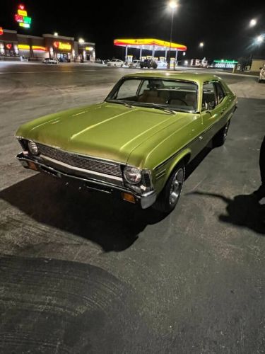 Unknown-Nova-1971-Cottonwood-Green-Tan-2