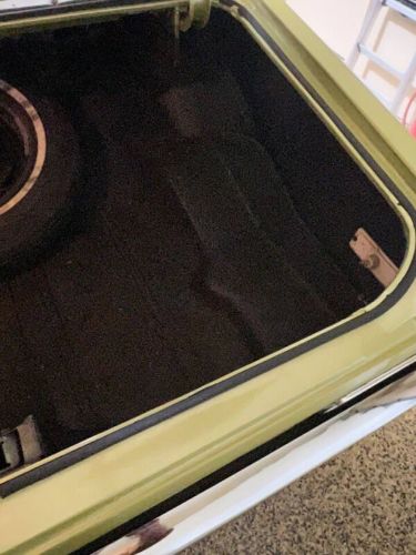 Unknown-Nova-1971-Cottonwood-Green-Tan-20