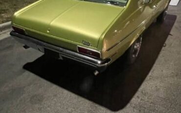 Unknown-Nova-1971-Cottonwood-Green-Tan-23