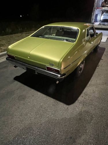 Unknown-Nova-1971-Cottonwood-Green-Tan-23