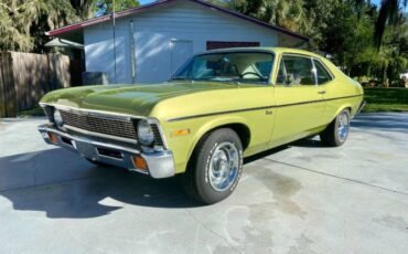 Unknown-Nova-1971-Cottonwood-Green-Tan-24