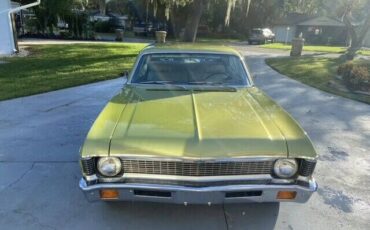 Unknown-Nova-1971-Cottonwood-Green-Tan-25