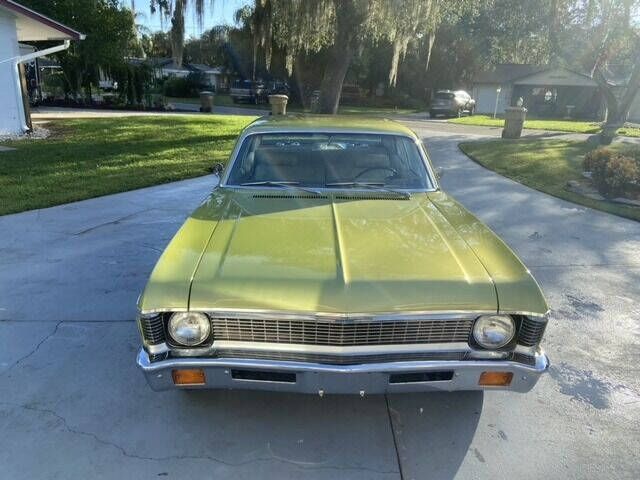 Unknown-Nova-1971-Cottonwood-Green-Tan-25