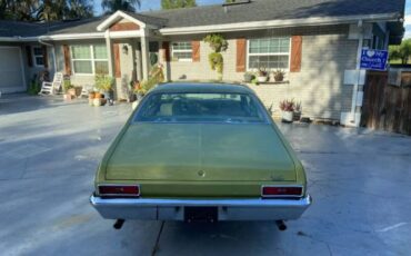 Unknown-Nova-1971-Cottonwood-Green-Tan-27
