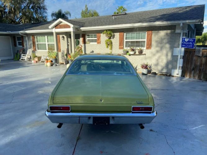 Unknown-Nova-1971-Cottonwood-Green-Tan-27