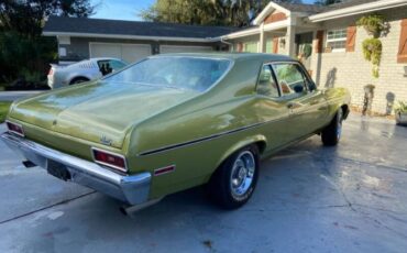 Unknown-Nova-1971-Cottonwood-Green-Tan-28