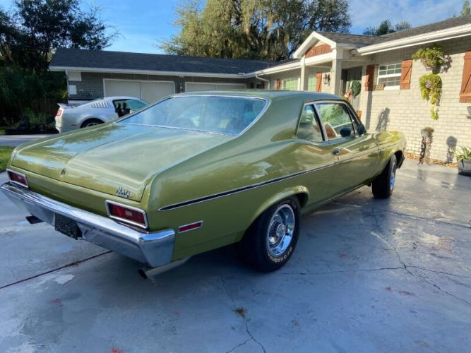 Unknown-Nova-1971-Cottonwood-Green-Tan-28