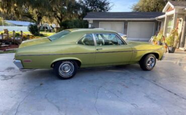 Unknown-Nova-1971-Cottonwood-Green-Tan-29