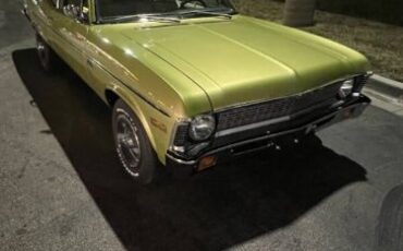 Unknown-Nova-1971-Cottonwood-Green-Tan-3