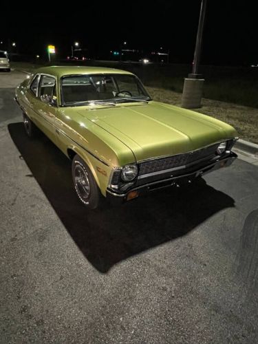 Unknown-Nova-1971-Cottonwood-Green-Tan-3