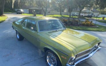 Unknown-Nova-1971-Cottonwood-Green-Tan-30
