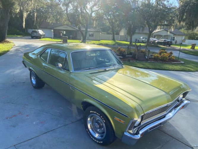 Unknown-Nova-1971-Cottonwood-Green-Tan-30