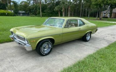 Unknown-Nova-1971-Cottonwood-Green-Tan
