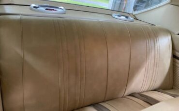 Unknown-Nova-1971-Cottonwood-Green-Tan-4