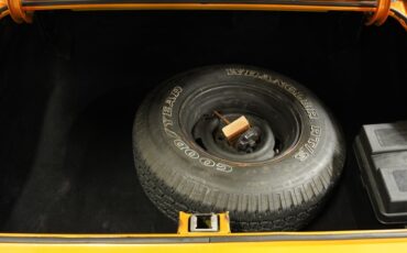 Unknown-Nova-1972-Gold-Black-46