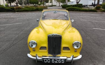 Unknown-Other-1952-Yellow-5
