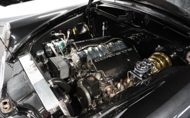 Unknown-Other-1954-Black-Pearl-Black-35