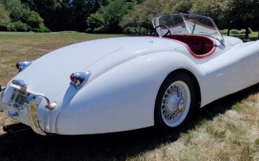 Unknown-Other-1954-Cream-3