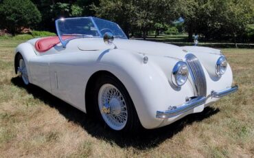 Unknown-Other-1954-Cream-5